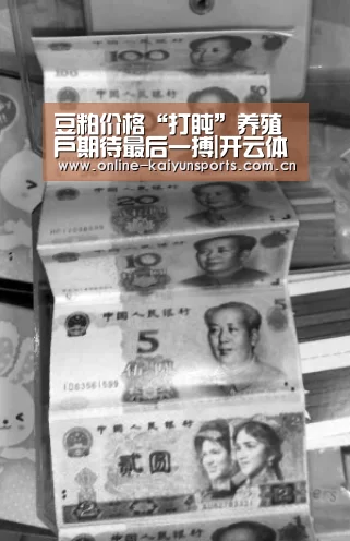 开云体育入口