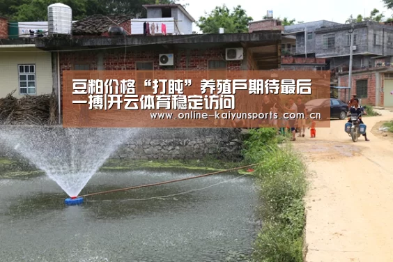 开云体育稳定访问