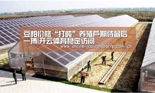 开云体育稳定访问