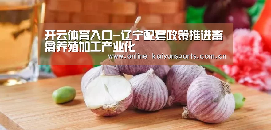 开云体育稳定访问