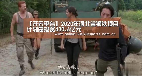 【开云平台】2020年河北省钢铁项目计划总投资430.6亿元(图3) 开云平台