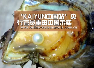 ‘KAIYUN中国站’央行官员重申中国未实施QE:货币政策空间很大_政策法规_新闻_矿道网(图2) 开云体育入口