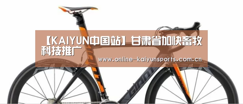 开云体育入口