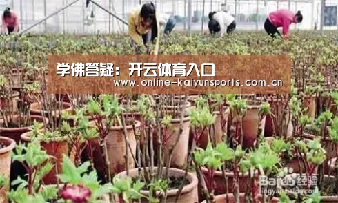 学佛答疑:开云体育入口(图2) 开云体育入口