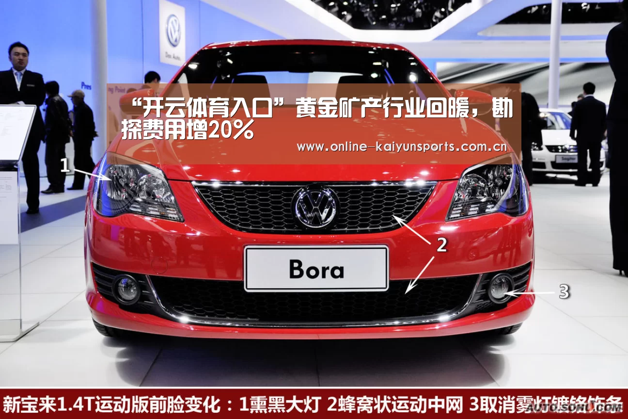 “开云体育入口”黄金矿产行业回暖,勘探费用增20%(图1) KAIYUN中国站